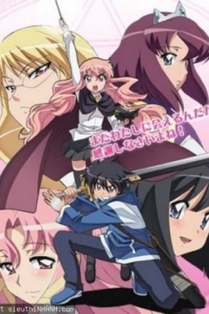 Zero no Tsukaima: Futatsuki no Kishi